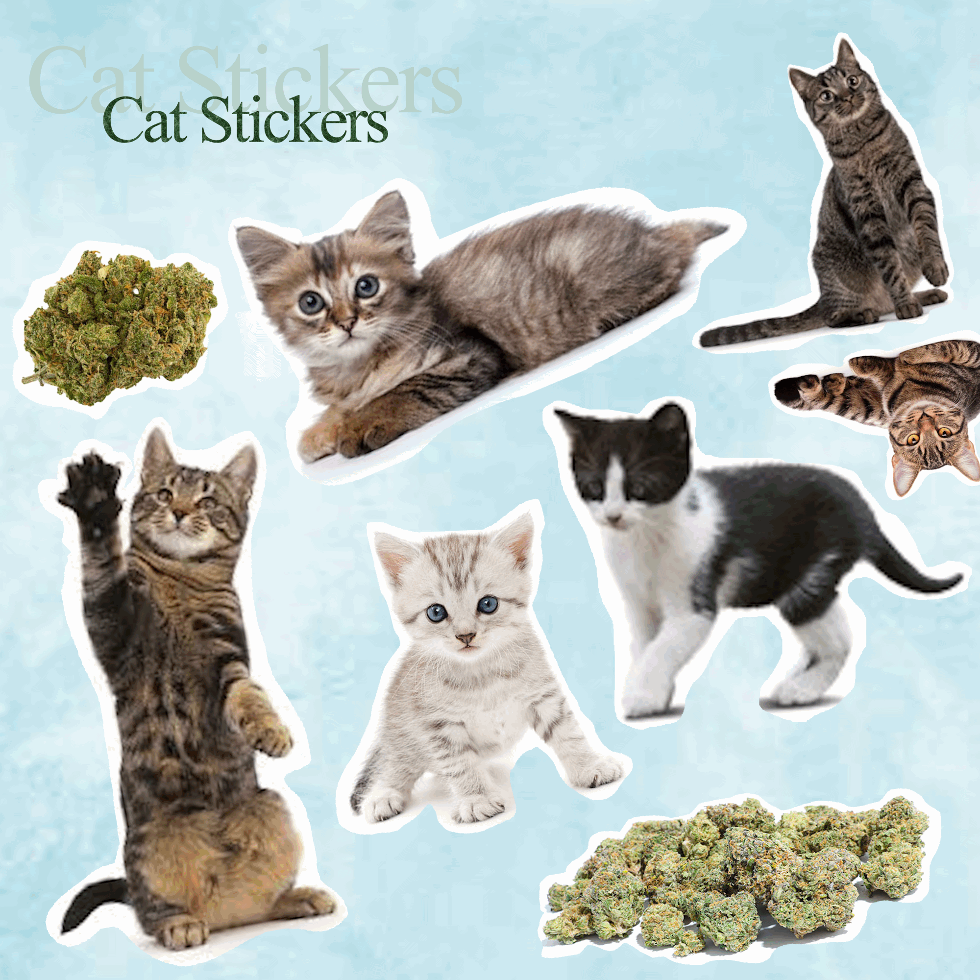 Cover Art: Cat Stickers